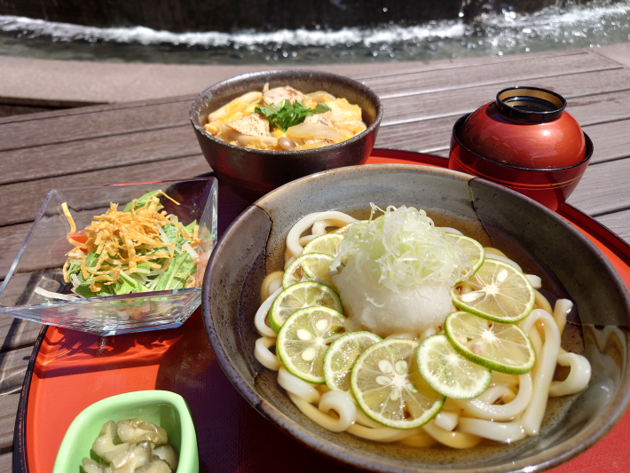 すだちおろしうどん